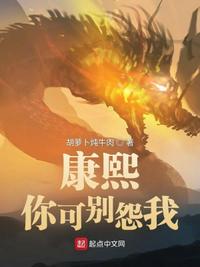 康熙，你可别怨我